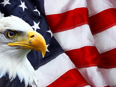 American flag and bald eagle